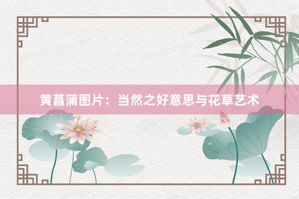 黄菖蒲图片：当然之好意思与花草艺术