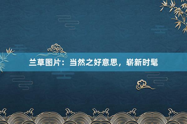 兰草图片：当然之好意思，崭新时髦