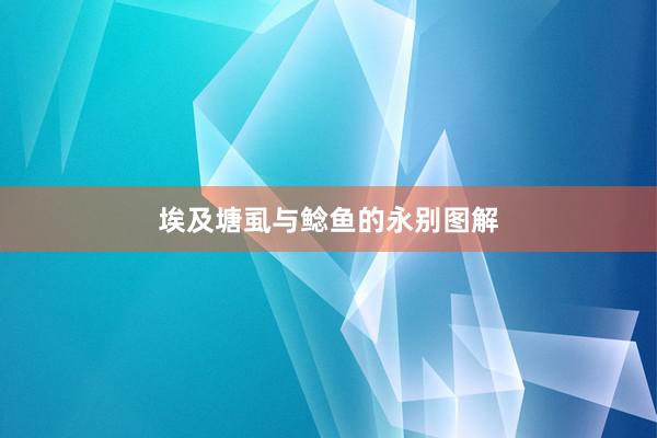 埃及塘虱与鲶鱼的永别图解